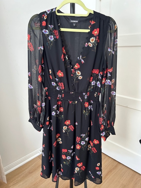 Express Dresses & Skirts - Express Dress. Size small. PTP 17”. Elastic waist. Sheer sleeves. Inside liner.